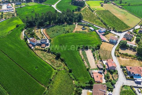 Helårsgrund i Barcelos, Braga, Barcelos - € 330.000 | Ref: 254240278 - foto 13