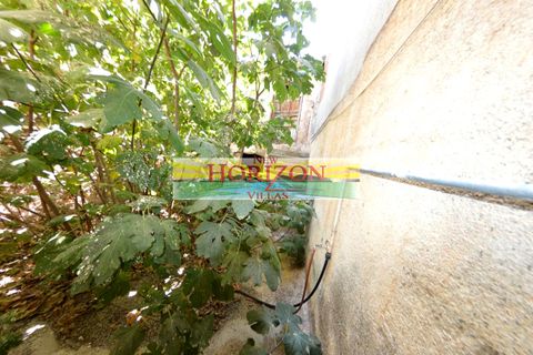 Villa i Cantoria, Almeria, Cantoria - € 47.000 | Ref: 60087 - foto 33
