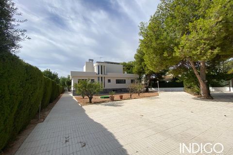 Villa i San Vicente Del Raspeig, Alicante - foto 4