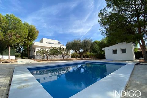 Villa i San Vicente Del Raspeig, Alicante - foto 5
