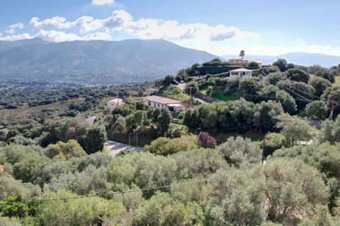 Tomt i Afa, Corse-du-Sud, Afa - € 280 000 | Ref: 805 - foto 2