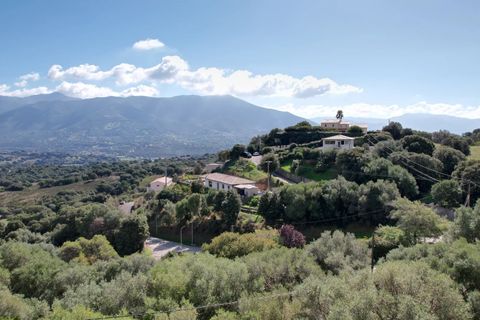 Tomt i Afa, Corse-du-Sud, Afa - € 280 000 | Ref: 805 - foto 3