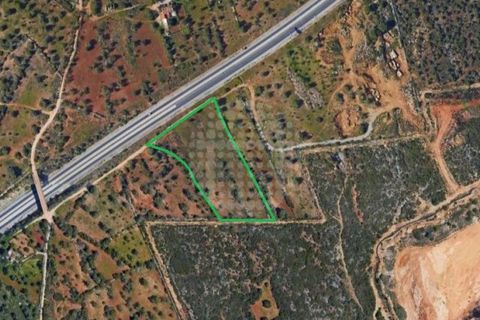 Helårsgrund i Paderne, Faro, Paderne - € 98.000 | Ref: TR-2949 - foto 3