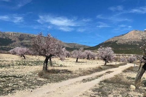 Landejendom i Velez-Rubio, Almeria, Velez-Rubio - € 269.000 | Ref: EXP08292/8930 - foto 14