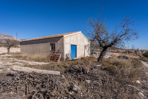 Landejendom i Velez-Rubio, Almeria, Velez-Rubio - € 269.000 | Ref: EXP08292/8930 - foto 15