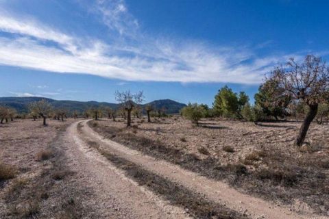 Landejendom i Velez-Rubio, Almeria, Velez-Rubio - € 269.000 | Ref: EXP08292/8930 - foto 21