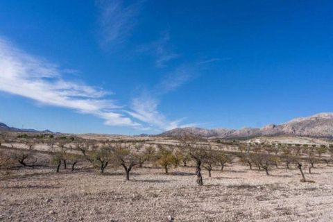 Landejendom i Velez-Rubio, Almeria, Velez-Rubio - € 269.000 | Ref: EXP08292/8930 - foto 22
