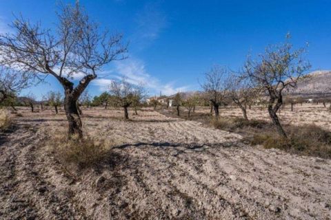 Landejendom i Velez-Rubio, Almeria, Velez-Rubio - € 269.000 | Ref: EXP08292/8930 - foto 23