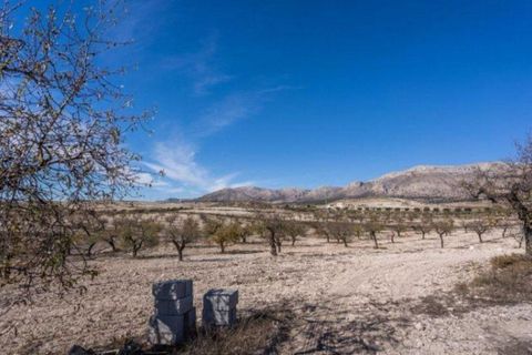 Landejendom i Velez-Rubio, Almeria, Velez-Rubio - € 269.000 | Ref: EXP08292/8930 - foto 24