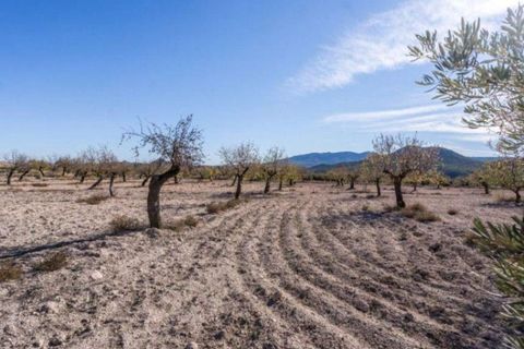 Landejendom i Velez-Rubio, Almeria, Velez-Rubio - € 269.000 | Ref: EXP08292/8930 - foto 25
