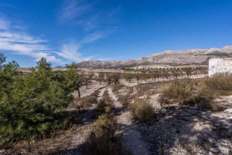Landejendom i Velez-Rubio, Almeria, Velez-Rubio - € 269.000 | Ref: EXP08292/8930 - foto 26