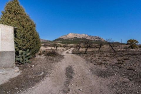 Landejendom i Velez-Rubio, Almeria, Velez-Rubio - € 269.000 | Ref: EXP08292/8930 - foto 27