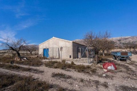 Landejendom i Velez-Rubio, Almeria, Velez-Rubio - € 269.000 | Ref: EXP08292/8930 - foto 28
