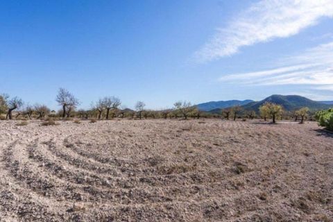 Landejendom i Velez-Rubio, Almeria, Velez-Rubio - € 269.000 | Ref: EXP08292/8930 - foto 29