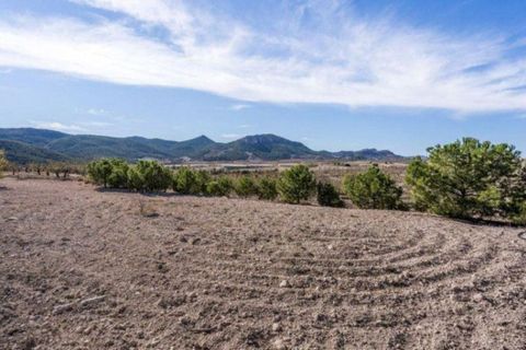 Landejendom i Velez-Rubio, Almeria, Velez-Rubio - € 269.000 | Ref: EXP08292/8930 - foto 30
