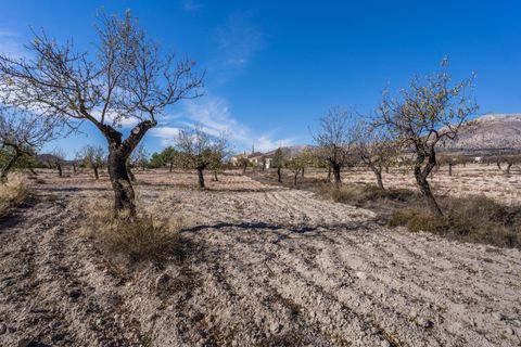 Landejendom i Velez-Rubio, Almeria, Velez-Rubio - € 269.000 | Ref: EXP08292/8930 - foto 34