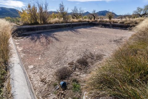 Landejendom i Velez-Rubio, Almeria, Velez-Rubio - € 269.000 | Ref: EXP08292/8930 - foto 36