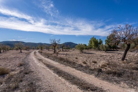 Landejendom i Velez-Rubio, Almeria, Velez-Rubio - € 269.000 | Ref: EXP08292/8930 - foto 38