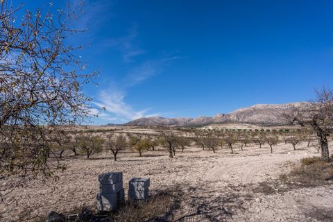 Landejendom i Velez-Rubio, Almeria, Velez-Rubio - € 269.000 | Ref: EXP08292/8930 - foto 40
