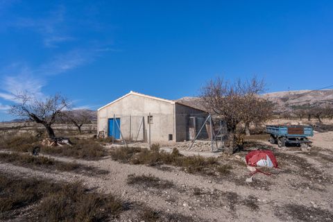 Landejendom i Velez-Rubio, Almeria, Velez-Rubio - € 269.000 | Ref: EXP08292/8930 - foto 42