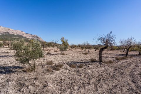 Landejendom i Velez-Rubio, Almeria, Velez-Rubio - € 269.000 | Ref: EXP08292/8930 - foto 43