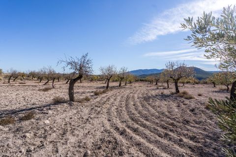 Landejendom i Velez-Rubio, Almeria, Velez-Rubio - € 269.000 | Ref: EXP08292/8930 - foto 44