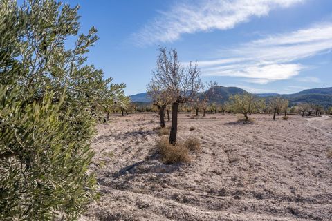 Landejendom i Velez-Rubio, Almeria, Velez-Rubio - € 269.000 | Ref: EXP08292/8930 - foto 45
