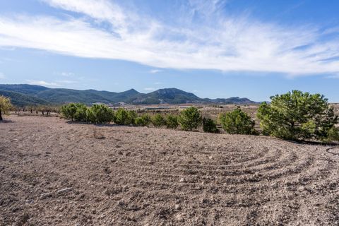 Landejendom i Velez-Rubio, Almeria, Velez-Rubio - € 269.000 | Ref: EXP08292/8930 - foto 46
