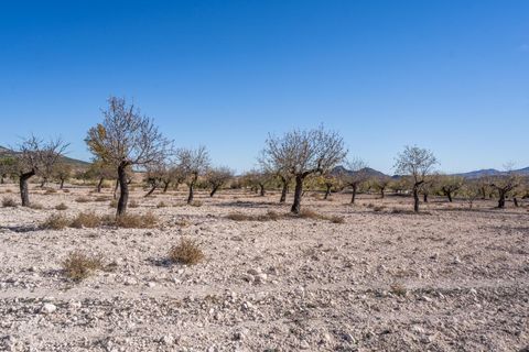 Landejendom i Velez-Rubio, Almeria, Velez-Rubio - € 269.000 | Ref: EXP08292/8930 - foto 47