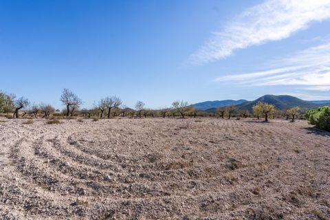 Landejendom i Velez-Rubio, Almeria, Velez-Rubio - € 269.000 | Ref: EXP08292/8930 - foto 48