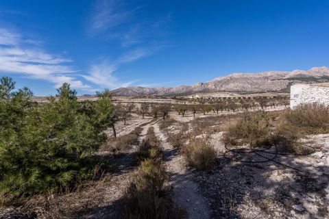 Landejendom i Velez-Rubio, Almeria, Velez-Rubio - € 269.000 | Ref: EXP08292/8930 - foto 50