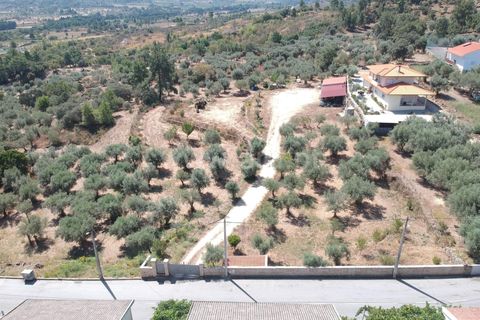Helårsgrund i Guarda, Guarda, Guarda - € 120.000 | Ref: 046240182 - foto 4