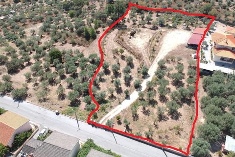 Helårsgrund i Guarda, Guarda, Guarda - € 120.000 | Ref: 046240182 - foto 1