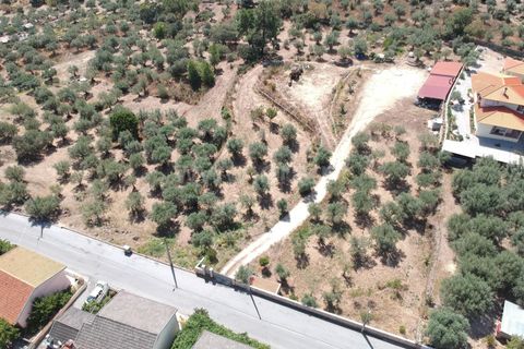 Helårsgrund i Guarda, Guarda, Guarda - € 120.000 | Ref: 046240182 - foto 2