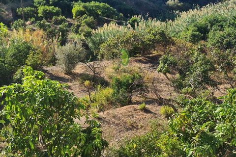 Byhus i Vinuela, Malaga, Vinuela - € 210.000 | Ref: 7843 - foto 24