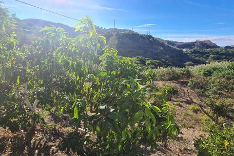 Byhus i Vinuela, Malaga, Vinuela - € 210.000 | Ref: 7843 - foto 28