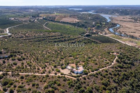Helårsgrund i Silves, Faro, Silves - € 1.800.000 | Ref: EAV-3910 - foto 3