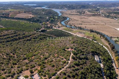 Helårsgrund i Silves, Faro, Silves - € 1.800.000 | Ref: EAV-3910 - foto 4