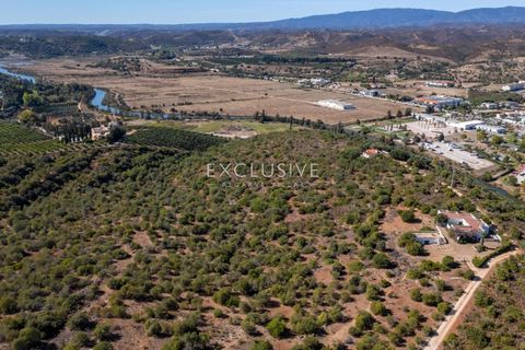 Helårsgrund i Silves, Faro, Silves - € 1.800.000 | Ref: EAV-3910 - foto 11