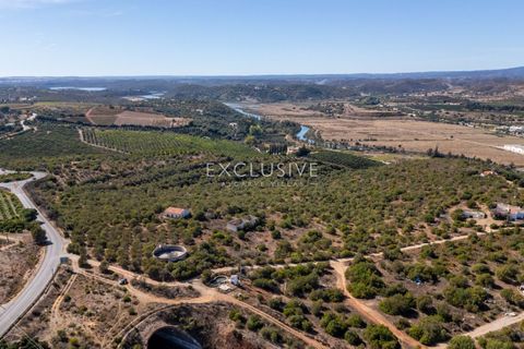 Helårsgrund i Silves, Faro, Silves - € 1.800.000 | Ref: EAV-3910 - foto 12