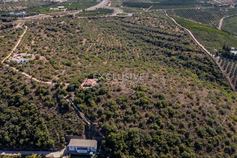 Helårsgrund i Silves, Faro, Silves - € 1.800.000 | Ref: EAV-3910 - foto 13