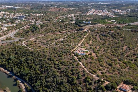 Helårsgrund i Silves, Faro, Silves - € 1.800.000 | Ref: EAV-3910 - foto 14