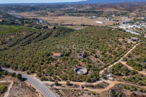 Helårsgrund i Silves, Faro, Silves - € 1.800.000 | Ref: EAV-3910 - foto 16