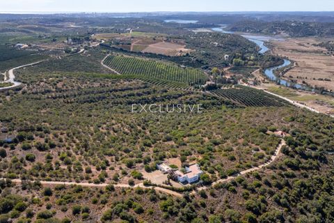 Helårsgrund i Silves, Faro, Silves - € 1.800.000 | Ref: EAV-3910 - foto 25