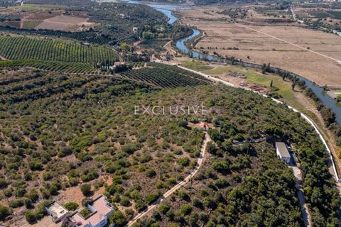 Helårsgrund i Silves, Faro, Silves - € 1.800.000 | Ref: EAV-3910 - foto 26
