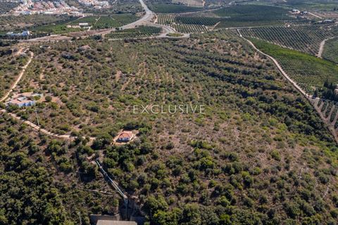 Helårsgrund i Silves, Faro, Silves - € 1.800.000 | Ref: EAV-3910 - foto 29