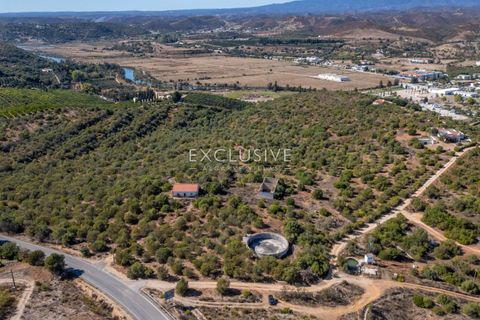 Helårsgrund i Silves, Faro, Silves - € 1.800.000 | Ref: EAV-3910 - foto 31