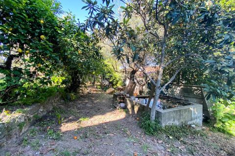 Villa i Fundao, Castelo Branco, Fundao - € 161.000 | Ref: 102240007 - foto 17