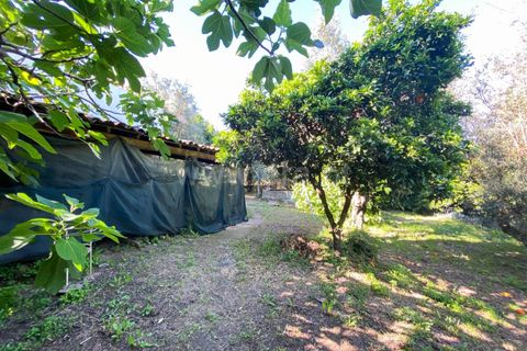 Villa i Fundao, Castelo Branco, Fundao - € 161.000 | Ref: 102240007 - foto 18