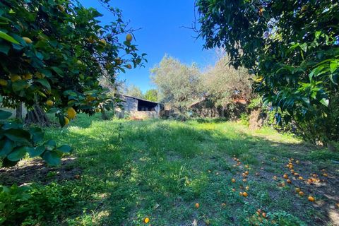 Villa i Fundao, Castelo Branco, Fundao - € 161.000 | Ref: 102240007 - foto 20